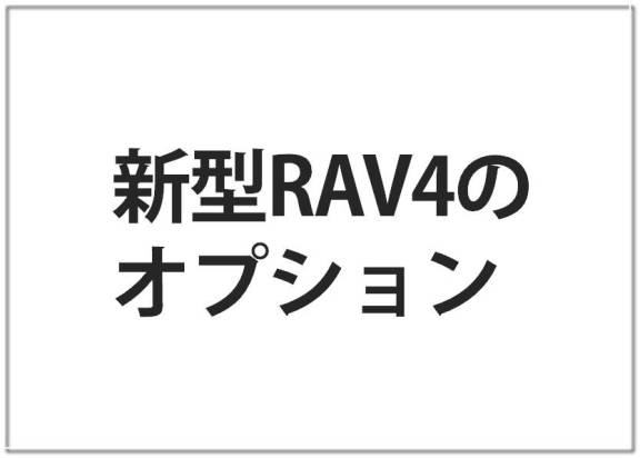 RAV4のオプション